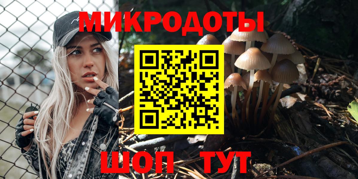 Псилоцибиновые грибы мицелий Серпухов
